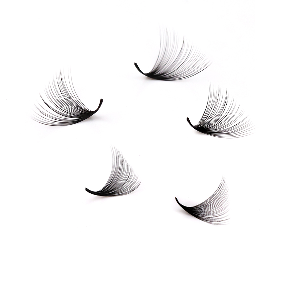 래쉬프로페서 XL 트레이 3D 4D 5D 6D 7D 8 - Eyelash Extension Russian 리뷰 및 가격