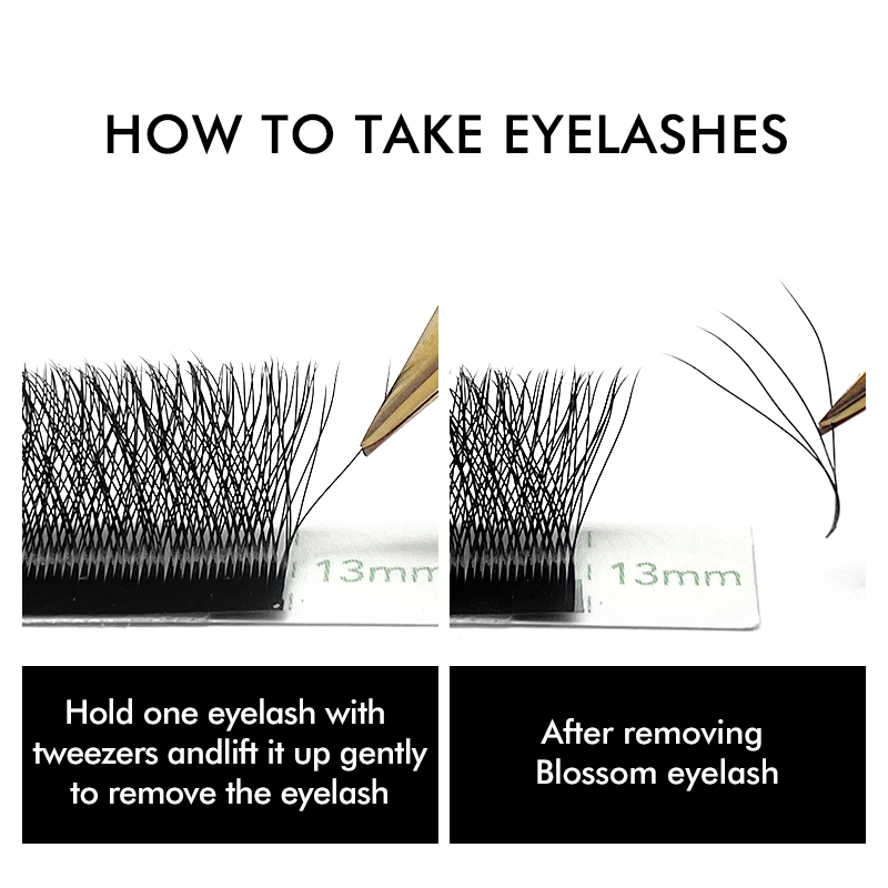 3D 4D 5D 6D W 모양의 클로버 속눈썹 연장 N - Eyelash Extension Russian 리뷰 및 가격